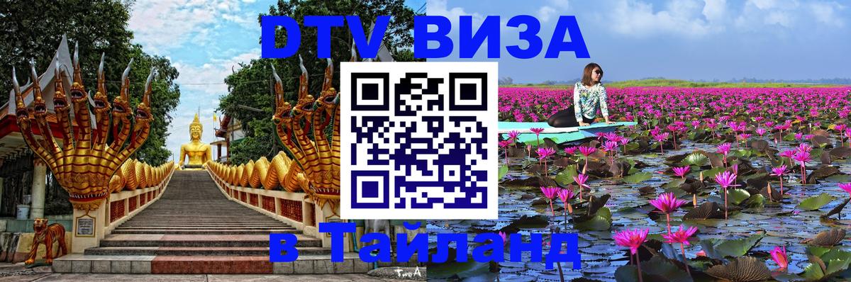 Оформление DTV визы под ключ: стоимость и тарифы, только загранпаспорт - 